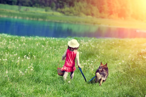 Küçük Kız Bir Köpek Ile Pikniğe Gider — Stok fotoğraf
