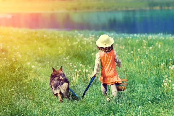 Mutlu Küçük Kız Köpekle Sahada Yürüyüş — Stok fotoğraf