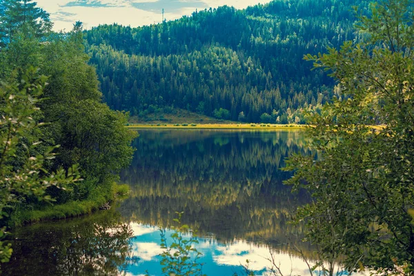 Кам Янистий Берег Гірське Озеро Осінній Ранок Красива Природа Норвегії — стокове фото