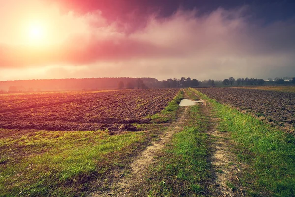 Rural Landscape Misty Morning Dirt Road Arable Field — Stock Photo, Image