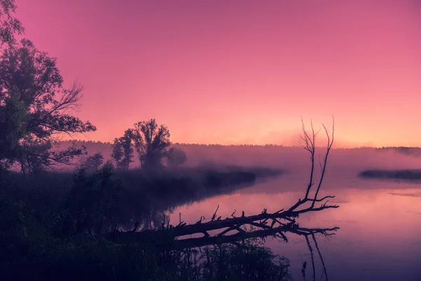 Una Mañana Brumosa Sobre Río Amanecer Rosa Sobre Río Paisaje — Foto de Stock