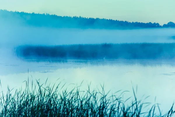 Magischer Sonnenaufgang Über Dem See Nebliger Morgen Ländliche Landschaft Wildnis — Stockfoto