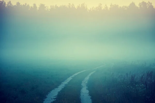 Road Nowhere Country Road Misty Morning Foggy Autumn Rural Landscape — Stock Photo, Image