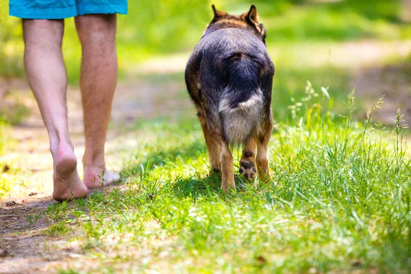 Man Walking Barefoot Dog Dirt Road Summer — Stock Photo, Image