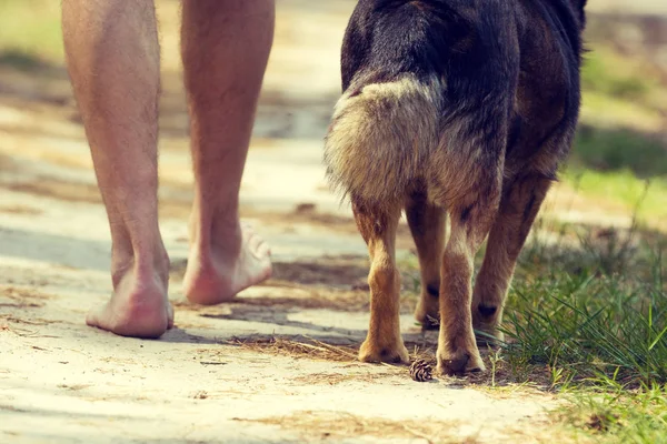 Man Lopen Blote Voeten Met Een Hond Onverharde Weg Zomer — Stockfoto