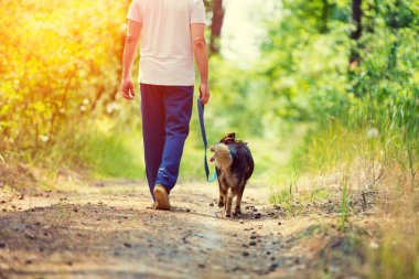 A köpek ile yaz aylarında toprak yolda yürüyen adam