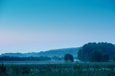Tarlada sisli bir sabah