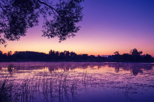 Magischer Rosa Lila Sonnenaufgang Über Dem See Nebliger Morgen Ländliche — Stockfoto