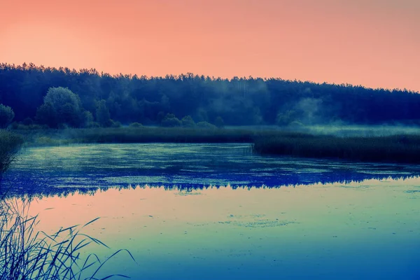 Göl Üzerinde Sihirli Gül Gündoğumu Puslu Sabah Kırsal Manzara Vahşi — Stok fotoğraf