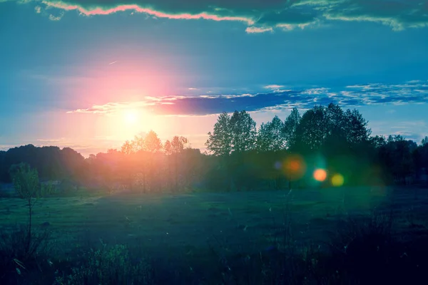 Feld Mit Dem Blauen Bewölkten Himmel Bei Sonnenuntergang Schöne Abendnatur — Stockfoto