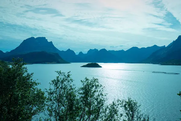 Vista Para Fiorde Praia Rochosa Bela Natureza Noruega Ilhas Lofoten — Fotografia de Stock