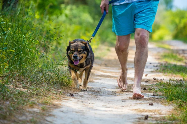 Man Lopen Blote Voeten Met Een Hond Onverharde Weg Zomer — Stockfoto