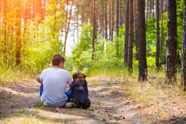 Kamera için geri yaz aylarında toprak yol çam ormanı içinde üstünde a köpek ile oturan adam