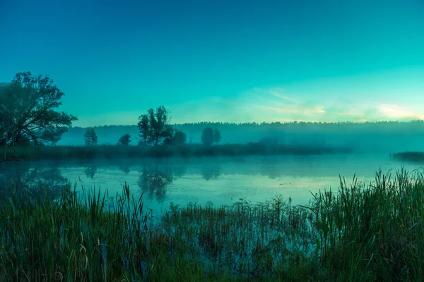 Mañana Brumosa Lago Antes Del Amanecer Paisaje Rural Sensación Mística — Foto de Stock