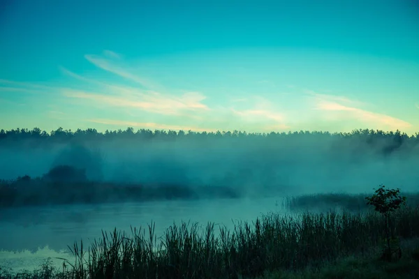 Mistige Ochtend Lake Voor Zonsopgang Rurale Landschap Mystieke Gevoel — Stockfoto