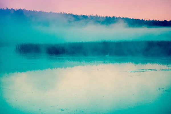 Mgła Nad Jeziorem Przed Świtem Mglisty Poranek Wiejski Krajobraz Mistyczne — Zdjęcie stockowe