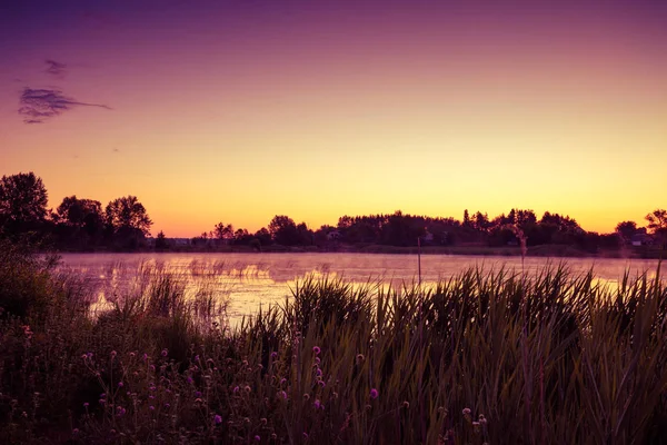 호수에 마법의 분홍색 보라색 일출입니다 신비로운 — 스톡 사진