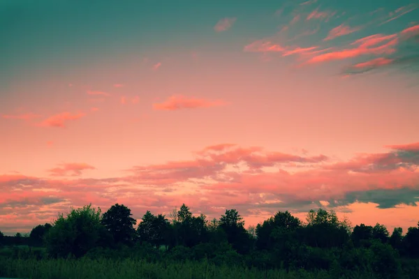 Magische Zonsondergang Het Bos Silhouet Van Bomen Tegen Gebrande Avondlucht — Stockfoto