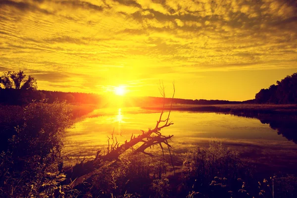 Nascer Sol Mágico Dourado Sobre Lago Misty Manhã Paisagem Rural — Fotografia de Stock