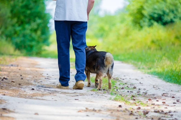 未舗装の道路上 犬を連れて歩いている夏男 — ストック写真