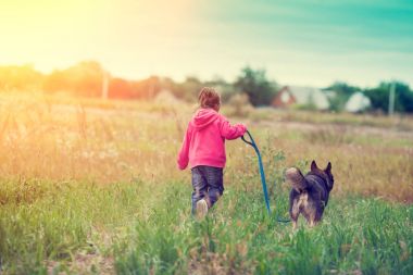 Mutlu küçük kız köpekle sahada yürüyüş