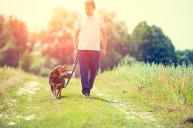 Adam bir köpek ile bir ülke yolunda tasma alan tarafından yürür