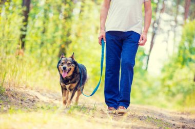 A köpek ile ormanda tasmalı bir adam
