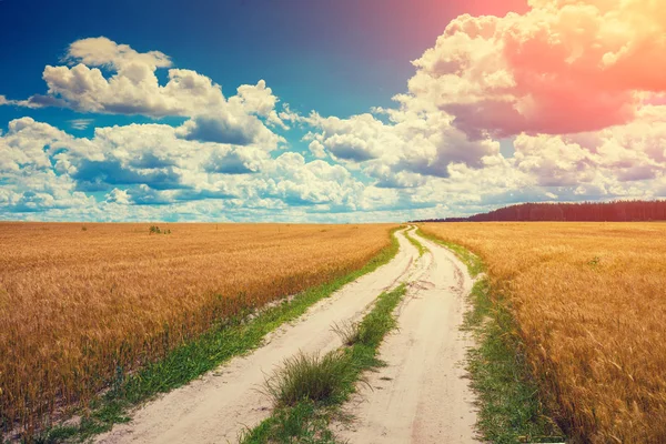 Strada Campagna Attraverso Campo Grano Maturo — Foto Stock