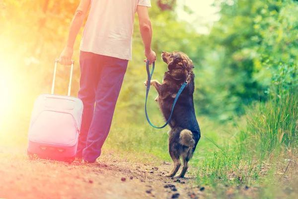 Homem Caminha Com Cão Numa Coleira Longo Uma Estrada Rural — Fotografia de Stock