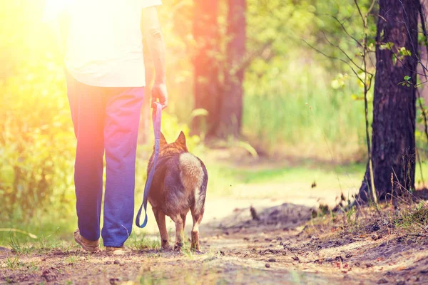 Человек Идущий Собакой Поводке Лесу Камере — стоковое фото
