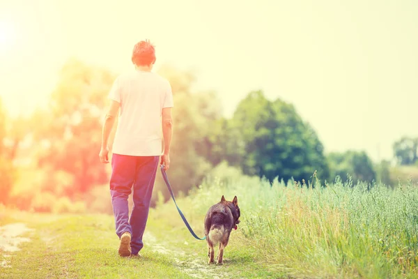 男はカメラにフィールドで田舎道にひもにつないで犬を歩く — ストック写真