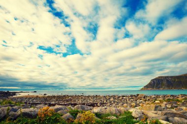 Güzel bir bulutlu gökyüzü ile kayalık deniz kıyısı. Vahşi. Güzel doğa Norveç. Lofoten Adaları. Ramberg