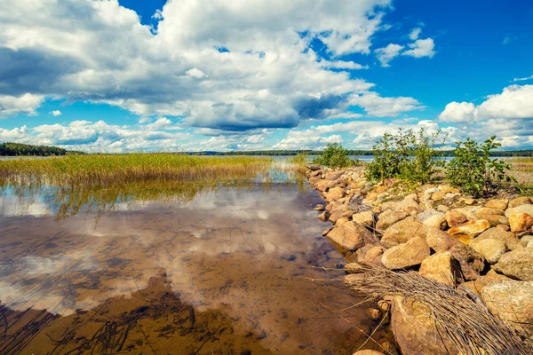 Заростають Очерету Озері Купа Каміння Озері Красива Природа Фінляндії — стокове фото