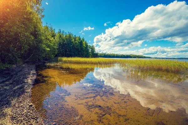 Озера Дерева Синє Небо Красива Природа Фінляндії — стокове фото