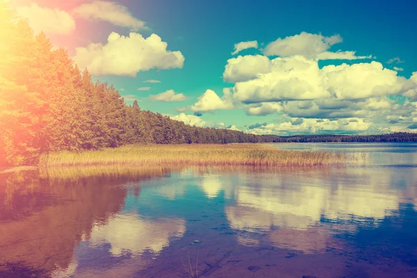 Озера Дерева Синє Небо Красива Природа Фінляндії — стокове фото