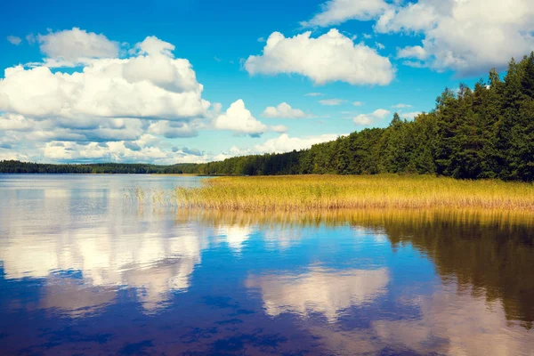 Озера Дерева Синє Небо Хмарно Гарне Літо Природи Фінляндії — стокове фото