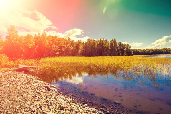Rocky Shore Lake Beautiful Nature Finland — Stock Photo, Image