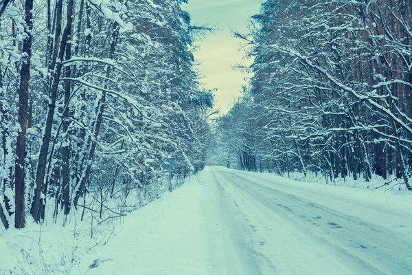 Snow Covered Road Winter Forest — Stock Photo, Image