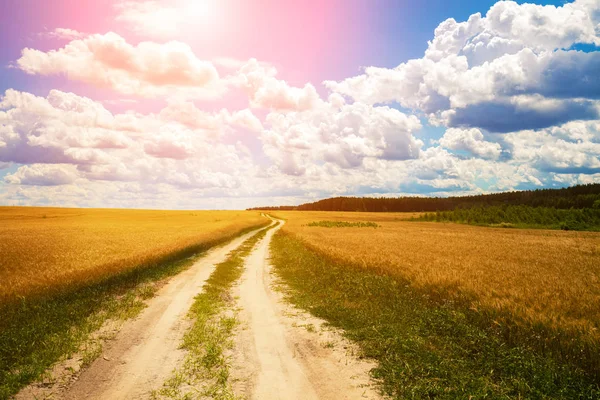 Endless Dirt Road Field Beautiful Sky — Stock Photo, Image