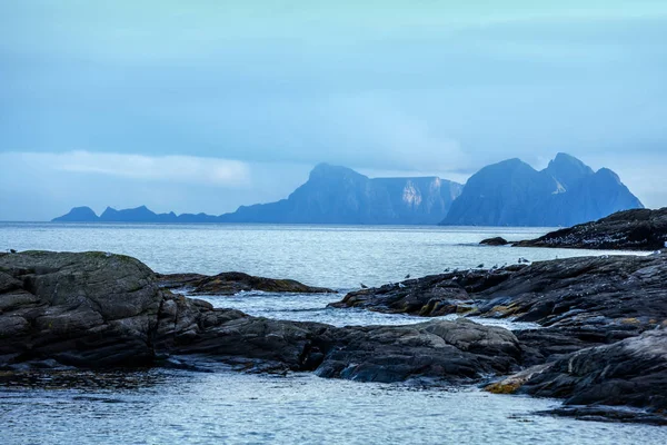 Klippig Havsstrand Med Molnig Himmel Vildmark Vacker Natur Norge Lofoten — Stockfoto