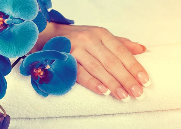Mooie vrouwelijke hand met perfecte Franse manicure op witte towe — Stockfoto