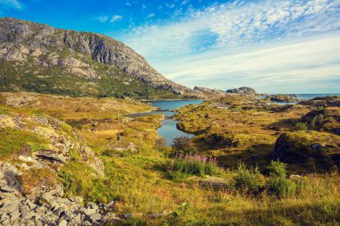 Panoramik fiyort. Lofoten Adaları, Norveç