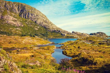 Panoramik fiyort. Lofoten Adaları, Norveç