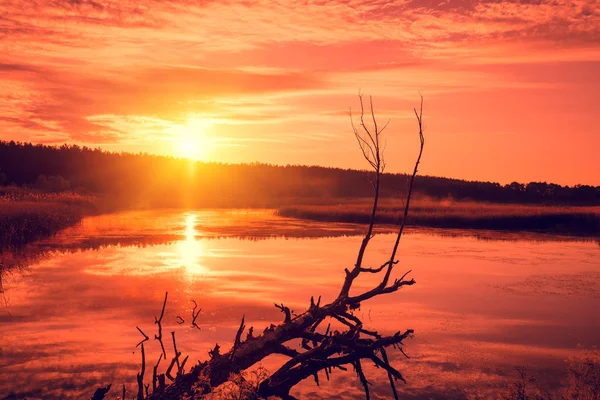 Pôr Sol Laranja Sobre Lago Noite Enevoada Paisagem Rural Deserto — Fotografia de Stock