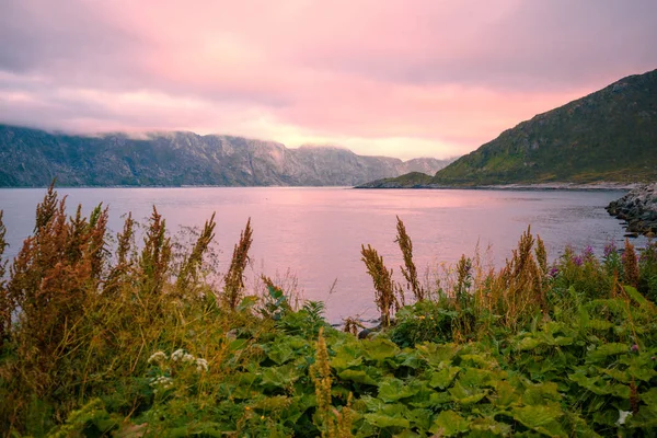 Fjord Plajă Stâncoasă Apusul Soarelui Trandafir Roz Natură Norvegia Insula — Fotografie, imagine de stoc