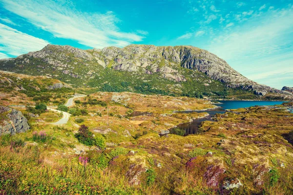 Winding Road Fjord Beautiful Nature Norway Lofoten Islands — Stock Photo, Image