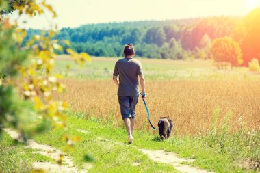 Bir adam ile bir köpek tasmalı yulaf alan boyunca yol boyunca yaz aylarında çalışır