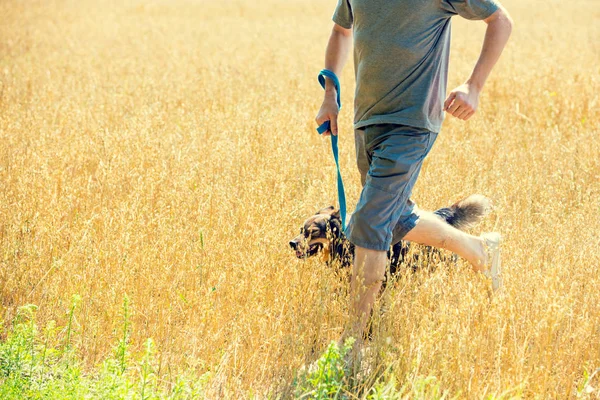 Hombre Con Perro Con Correa Corre Por Campo Avena Verano — Foto de Stock