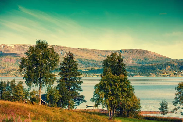 美しい山とフィヨルドの眺め 岸辺の木 ノルウェーの美しい自然 — ストック写真