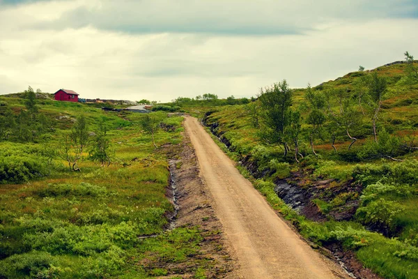 흙도로 분야에서 노르웨이의 — 스톡 사진